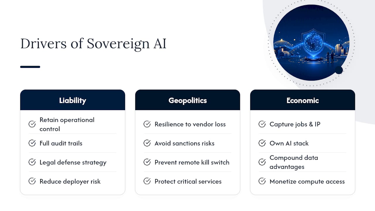 Why Organizations Actually Pursue Sovereign AI — overview diagram